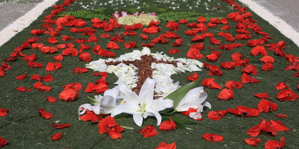 Gyönyörű virágszőnyeg  készült Vörösváron az Úrnapján  – Galéria