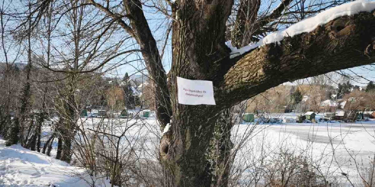 Tilos a jégre lépni és korcsolyázni a vörösvári tavakon