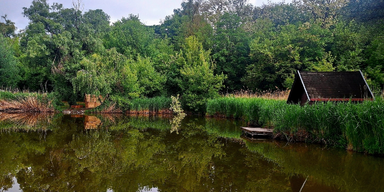 Ilyen időnk lesz a héten