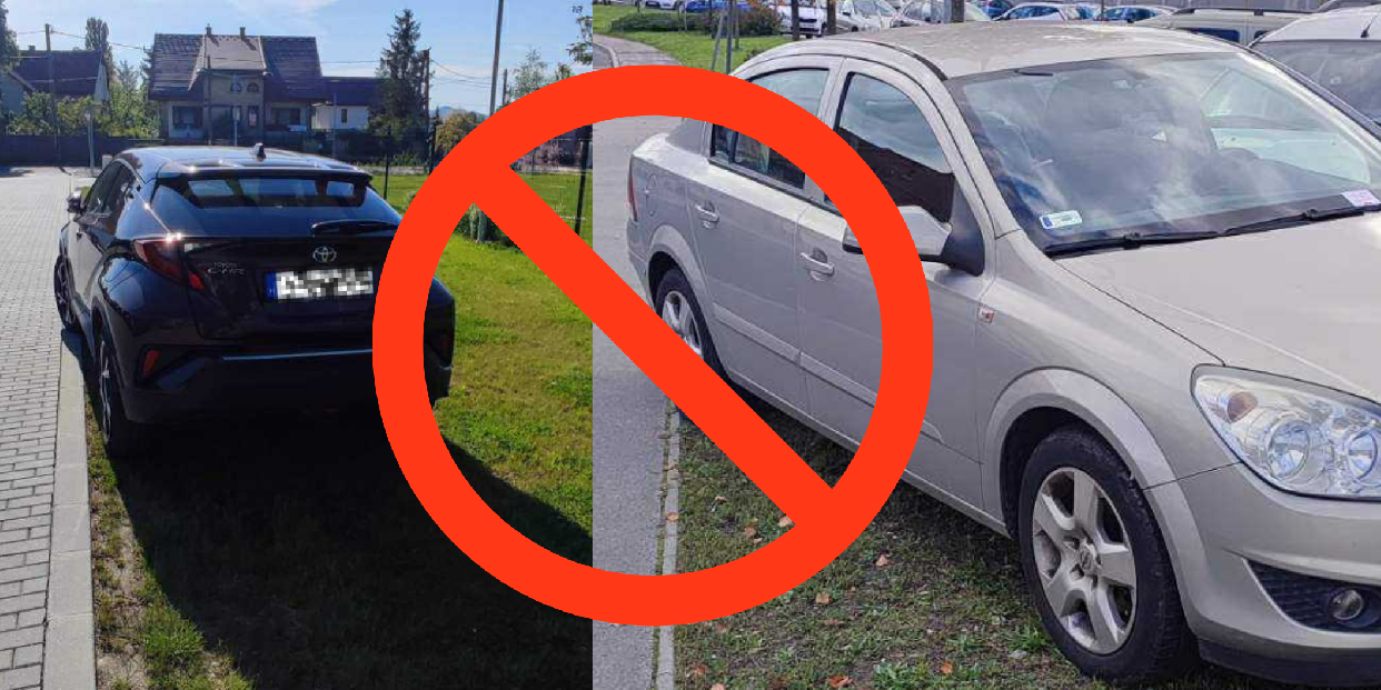 Miért ne parkoljunk zöldfelületre?