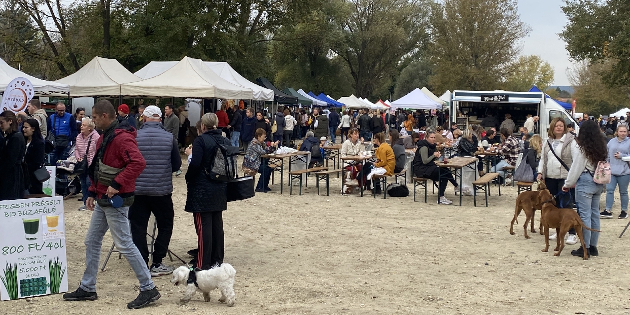 Ilyen volt az októberi Platz piac -  képgaléria 