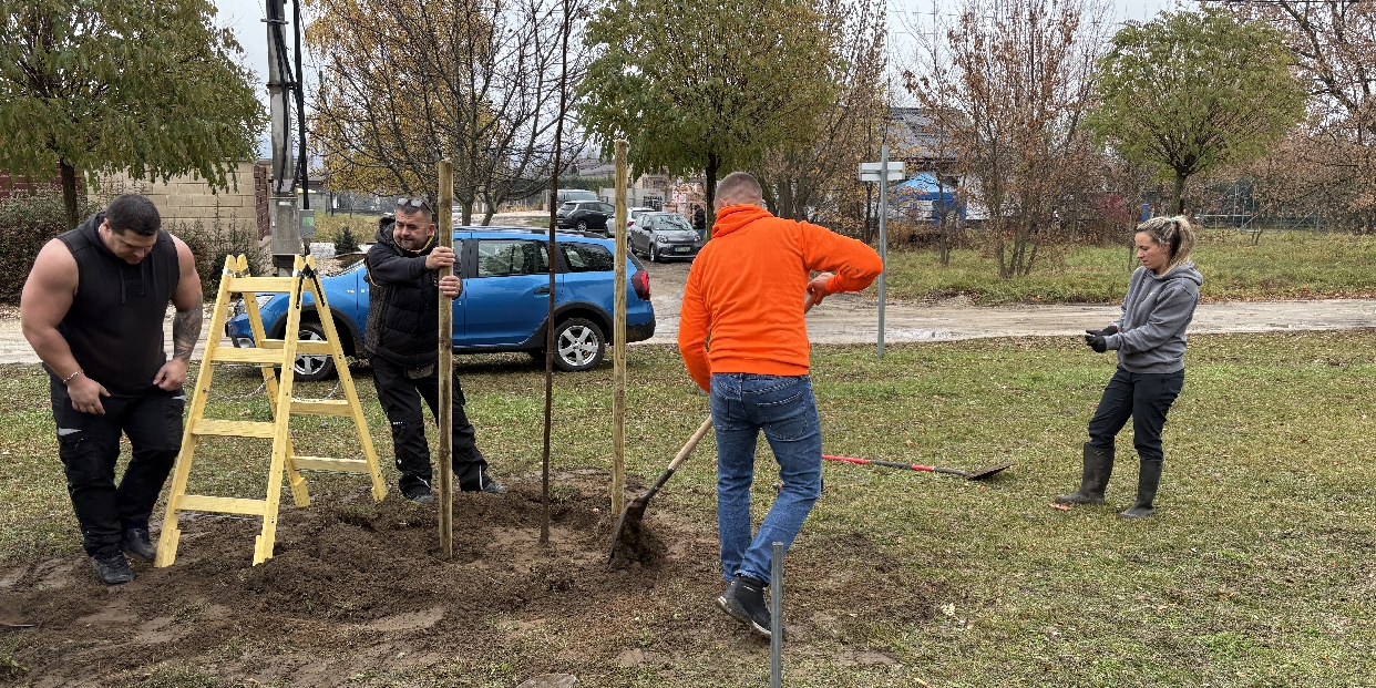 Zöldül Vörösvár – 50 új facsemete a REÁL GROUP felajánlásával