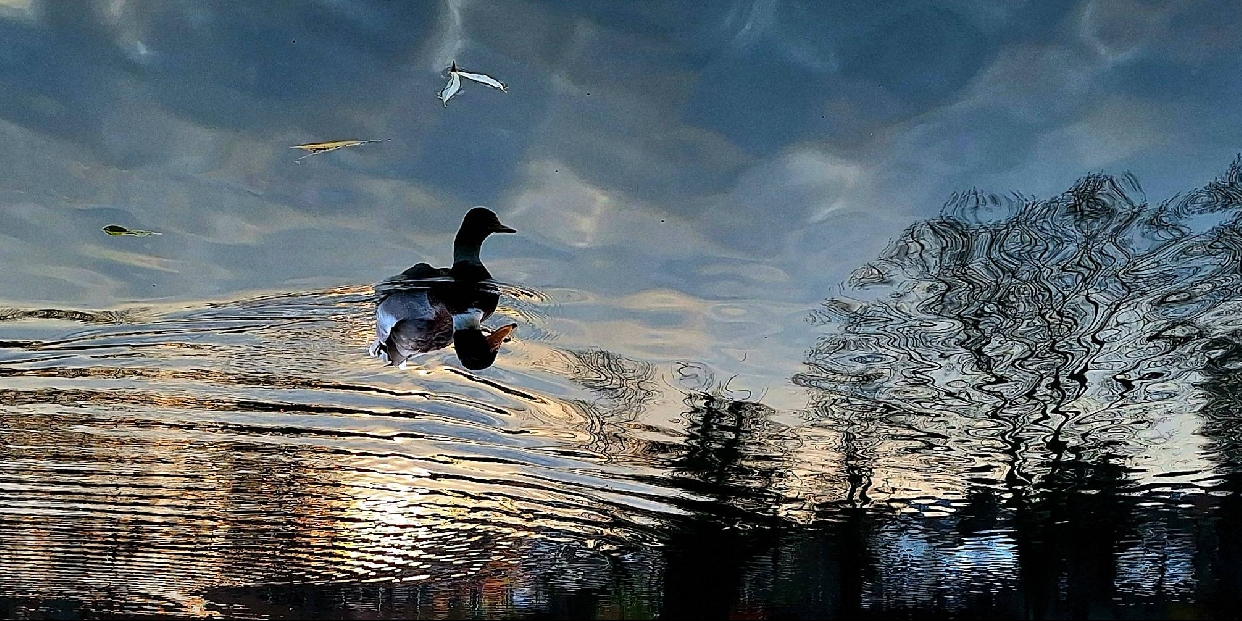 Ködös reggelek és felhős délutánok várnak ránk a héten 