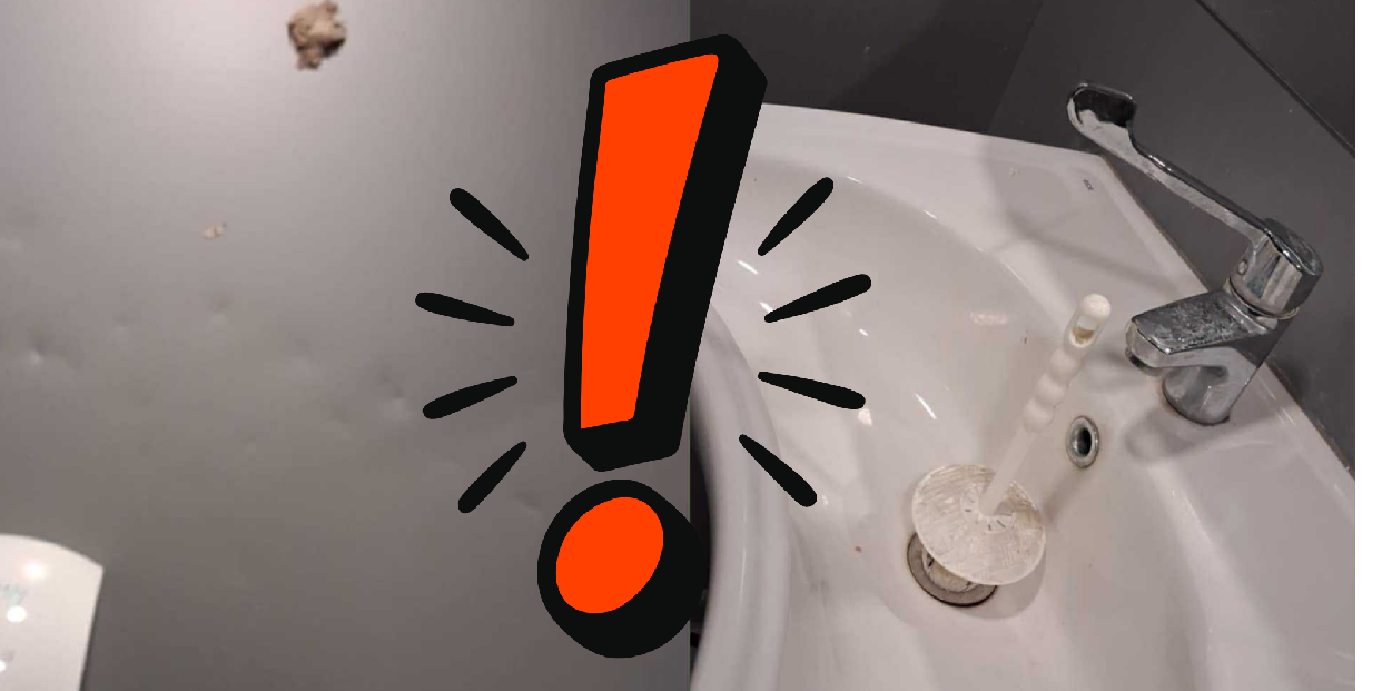 Rongálások a Nagy-tó partján lévő nyilvános illemhelynél