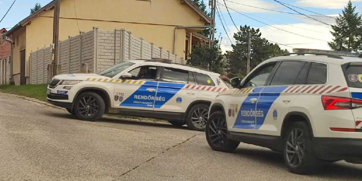 Állatkínzás Vörösváron – keresik az elkövetőt