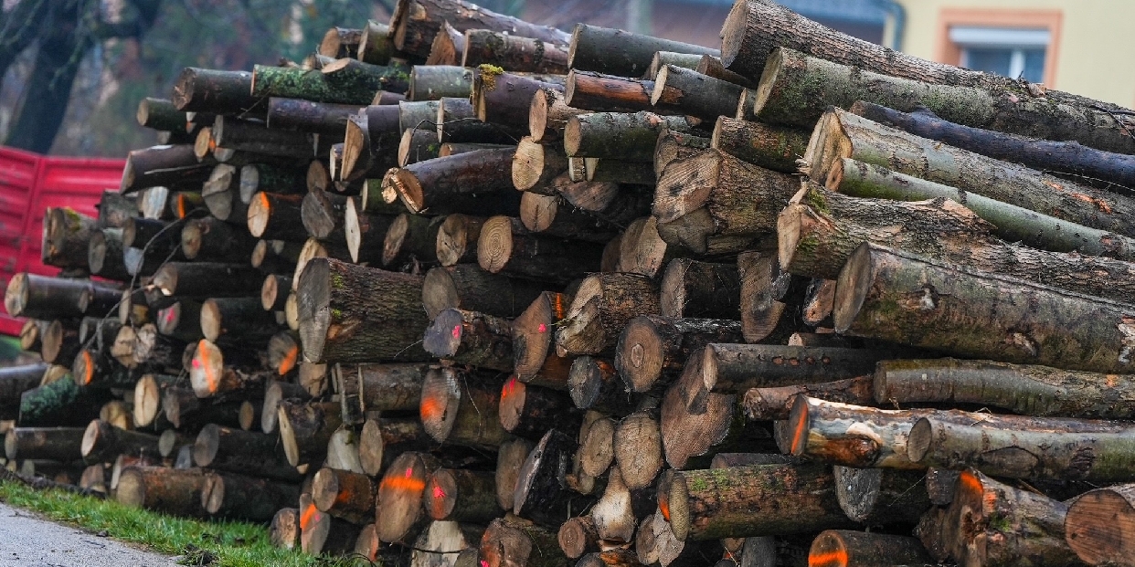 Szociális Tüzelőanyag-Program – Pilisvörösvár is benyújtotta igényléseit