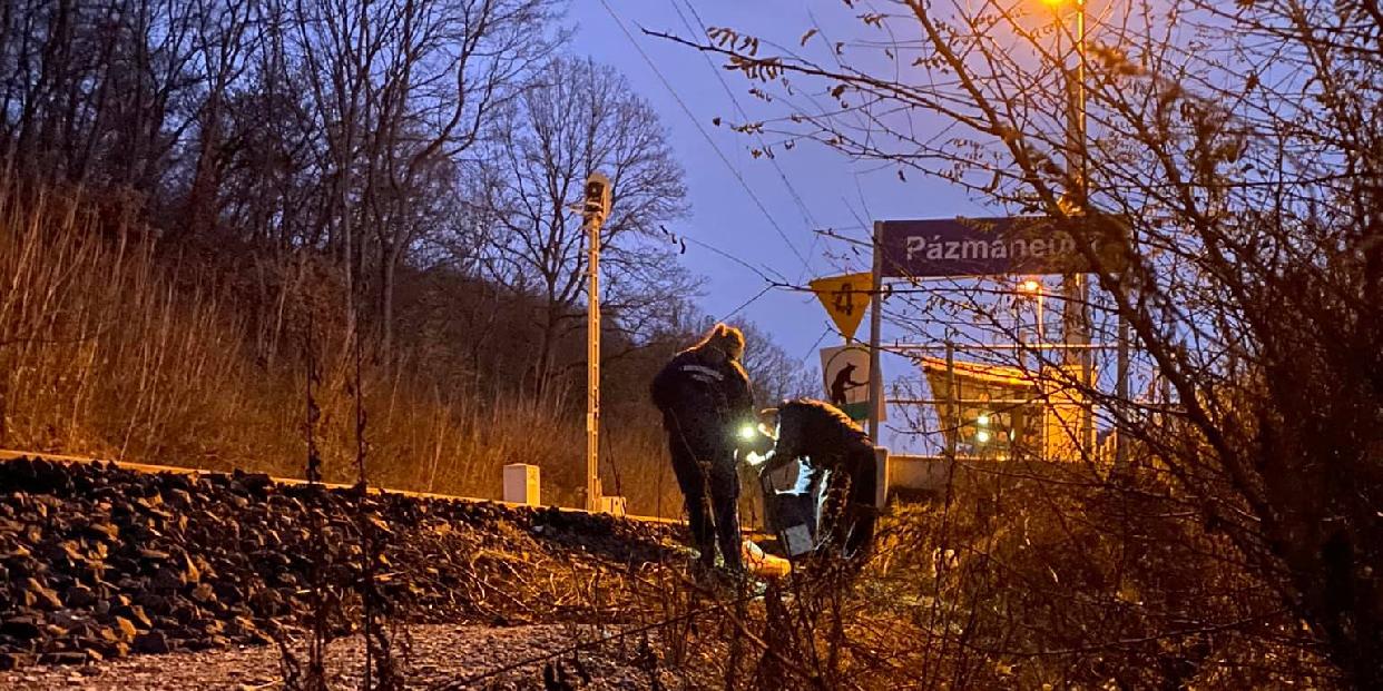 Pilisvörösvári anyukának köszönheti az életét a vasúti töltésről lezuhant asszony