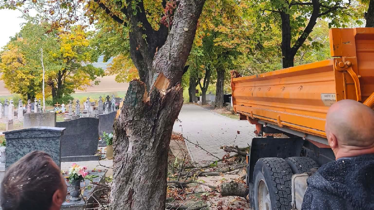 Folyamatosan zajlanak az őszi munkálatok a vörösvári temetőben