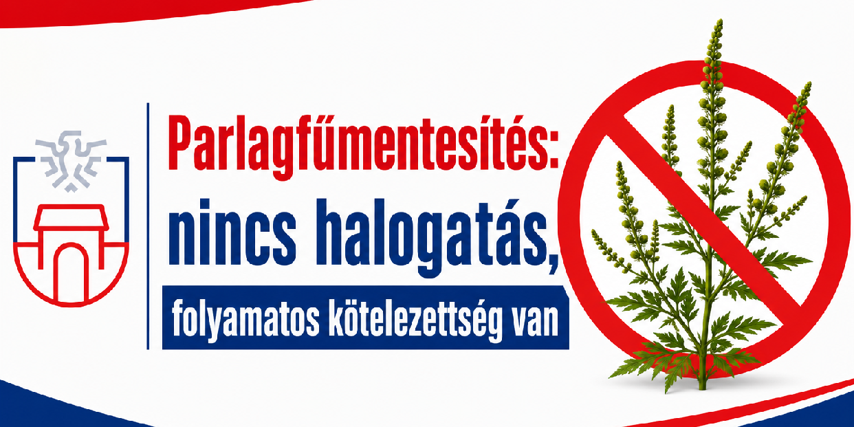 Parlagfűmentesítés: nincs halogatás, folyamatos kötelezettség van