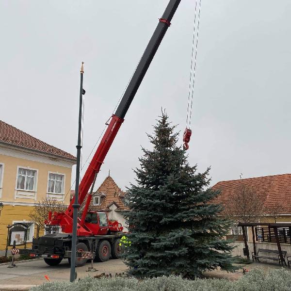 Megérkezett a karácsonyfának szánt fenyőfa a Fő térre