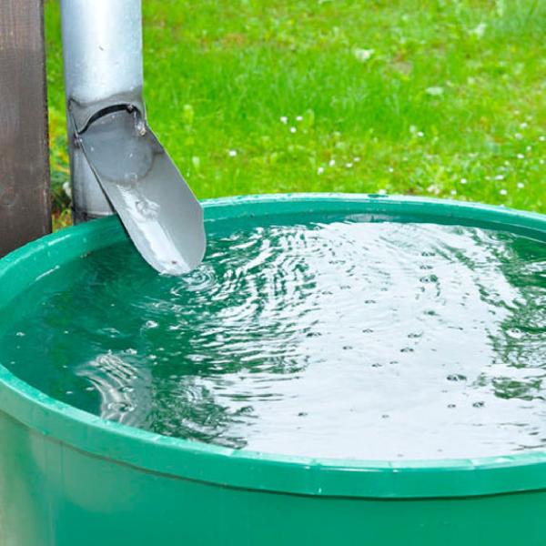  Esővízgyűjtés – kincs a természetnek és nekünk 