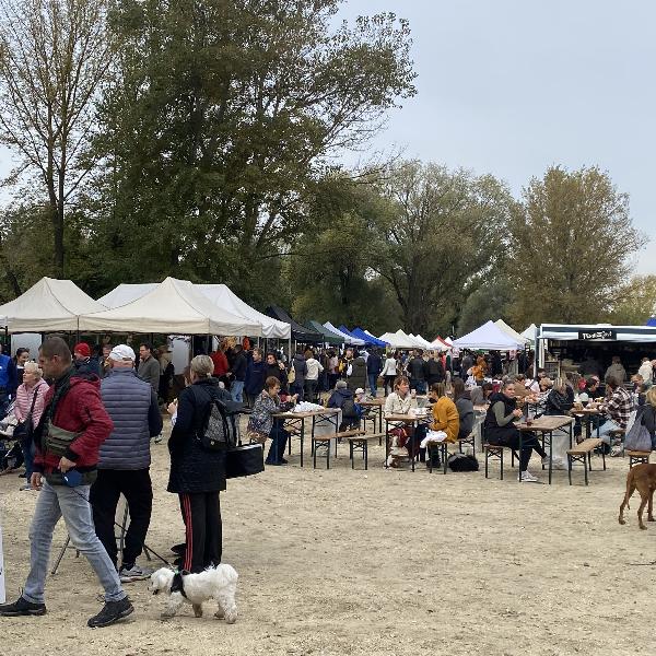 Ilyen volt az októberi Platz piac -  képgaléria 