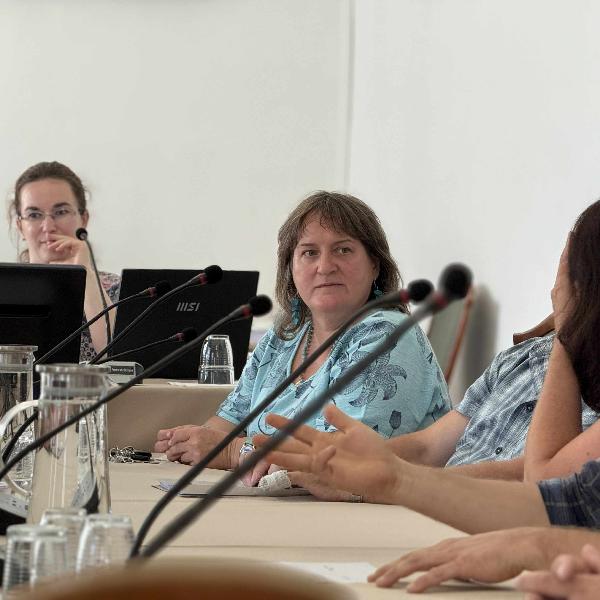 Képviselő-testületi ülést tartanak csütörtök délután Vörösváron - meghívó