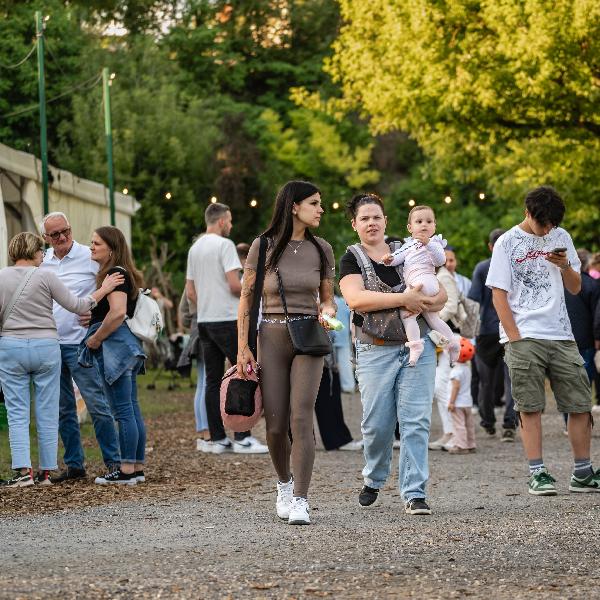 Ilyen volt idén a Stégek Éjszakája
