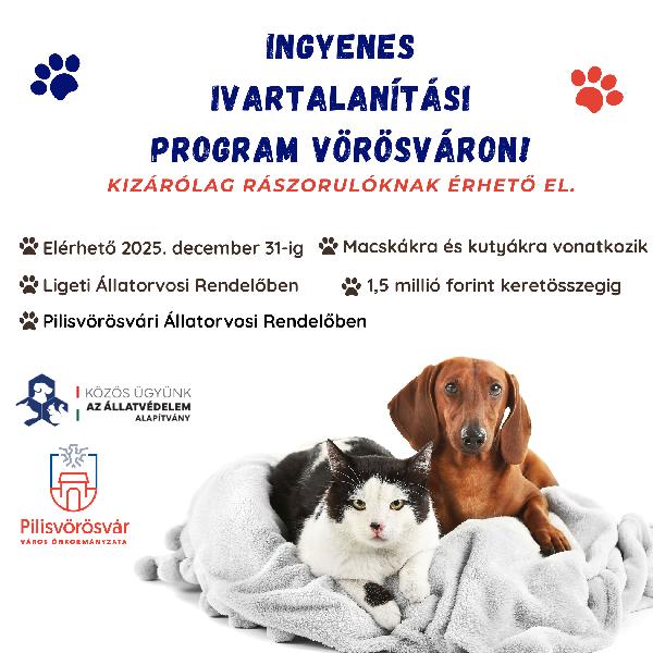Ingyenes ivartalanítási program a rászorulóknak Pilisvörösváron – a felelős állattartásért