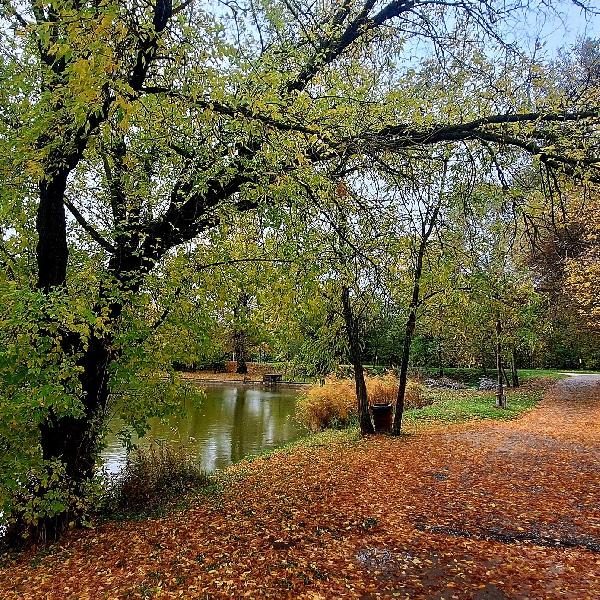 Időjárás – október utolsó hetében enyhe, szeles kezdés, majd napos, őszi idő várható
