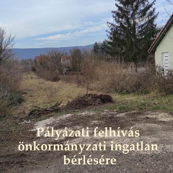 Pályázati felhívás Pilisvörösvár 7214 hrsz.-ú önkormányzati ingatlan bérleti jogára