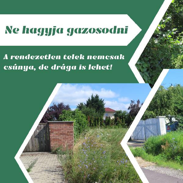 Ne hagyja gazosodni - a rendezetlen telek nemcsak csúnya, de drága is lehet!