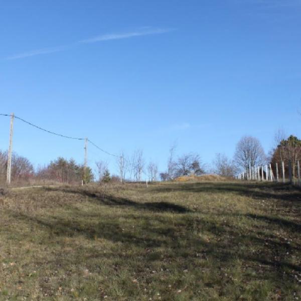 Pályázati kiírás Pilisvörösvár 7202/3 hrsz-ú ingatlan értékesítésére