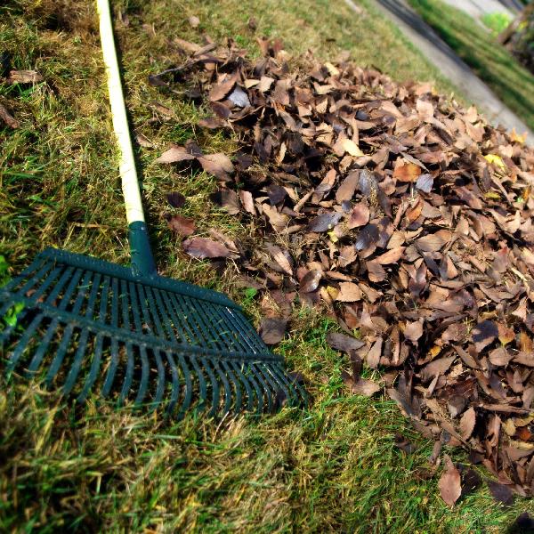 Novemberi zöldhulladék-szállítás Pilisvörösváron – minden fontos tudnivaló egy helyen