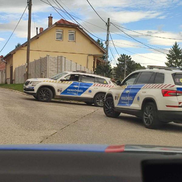 Állatkínzás Vörösváron – keresik az elkövetőt