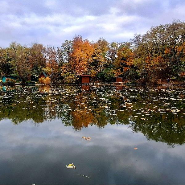 Hétfőn hidegfront, hétvégén nyugalom – klasszikus őszi idő a láthatáron