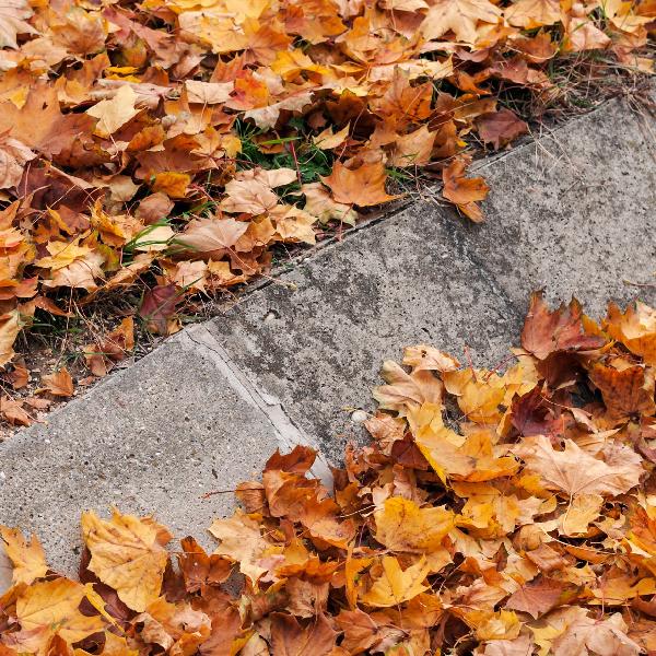 Tisztán tartott árkokkal a biztonságos vízelvezetésért