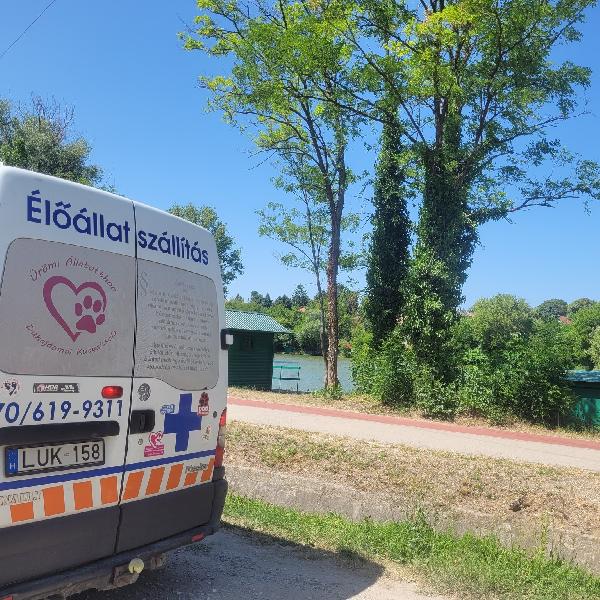 Együtt az állatokért – ismét jó hírekkel zárult a járőrözés