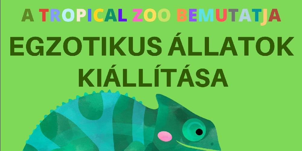 Egzotikus állatok kiállítása